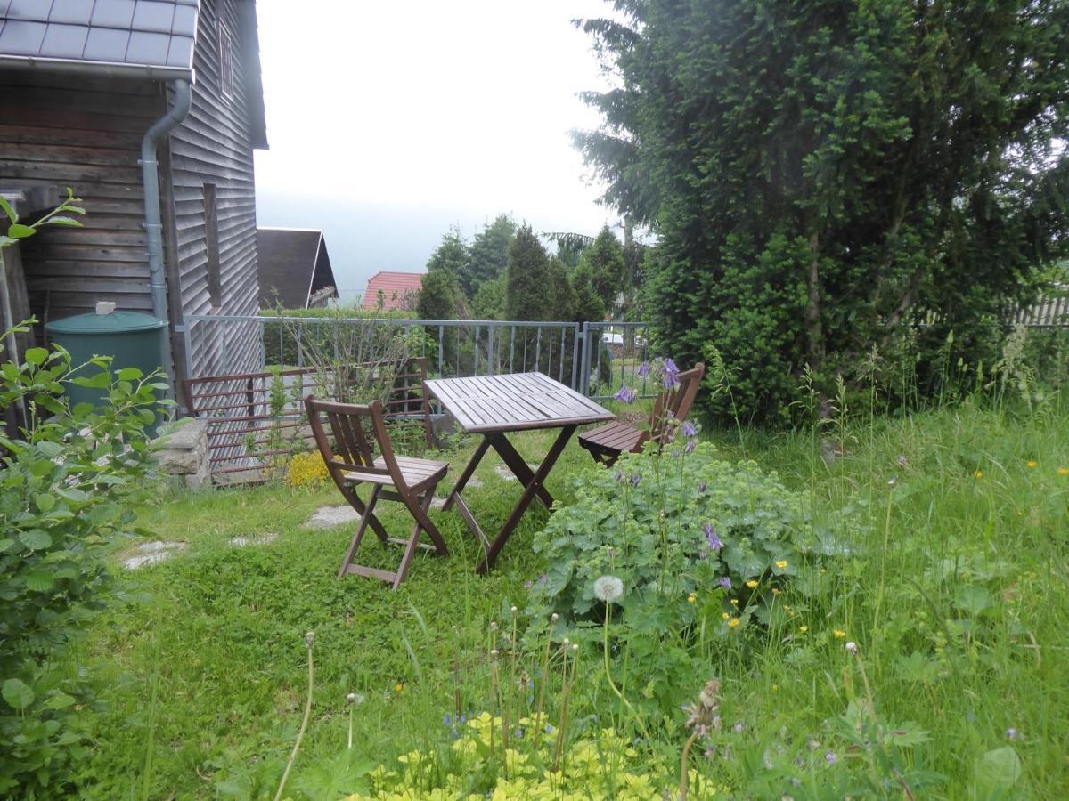 Haus Bergwiese - für Naturfreunde, Familien, Wanderer Gehlberg Exterior foto
