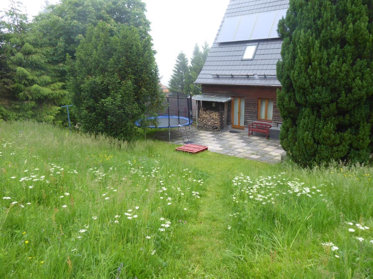 Haus Bergwiese - für Naturfreunde, Familien, Wanderer Gehlberg Exterior foto
